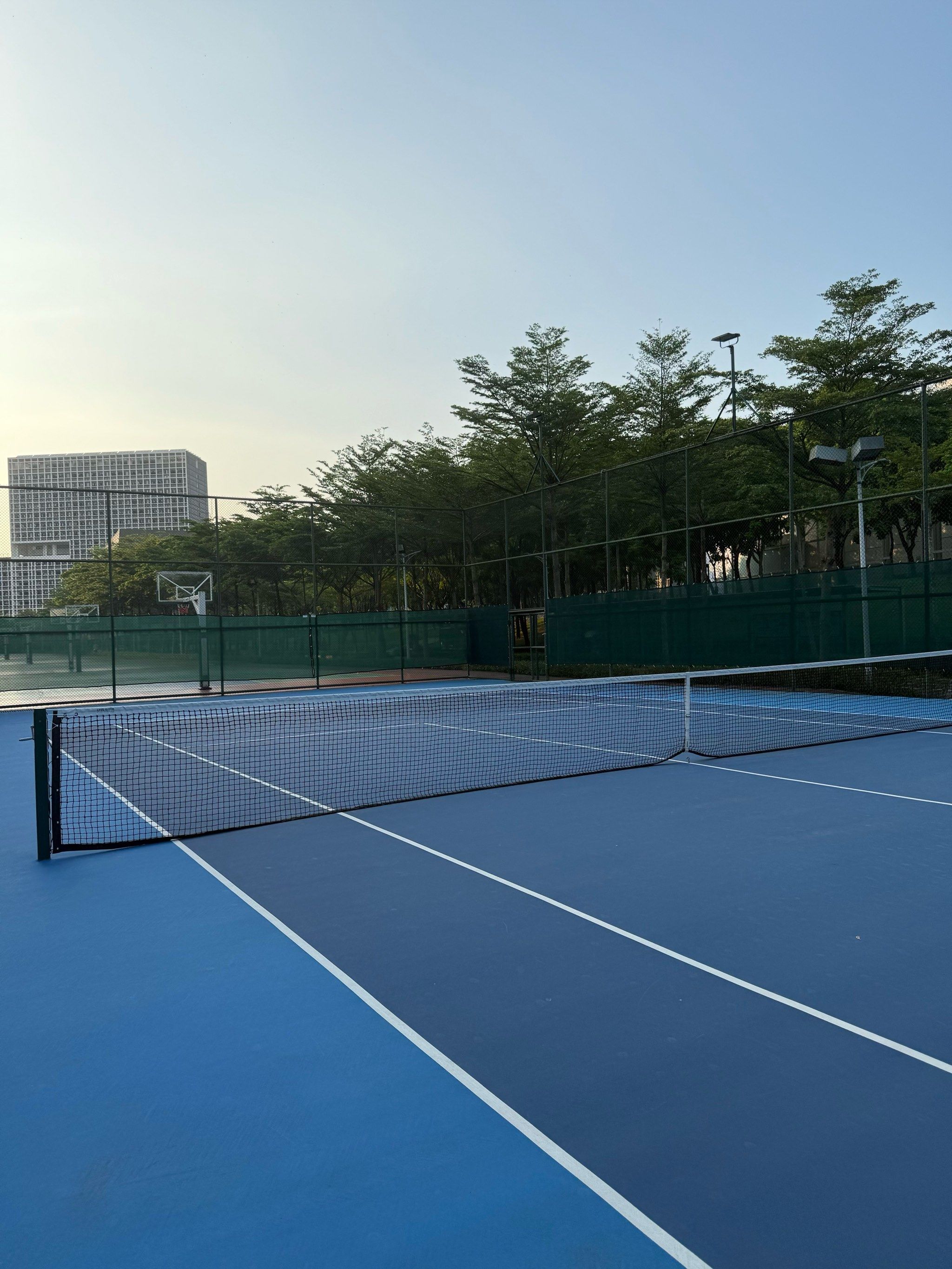 而显得更加 而显得更加