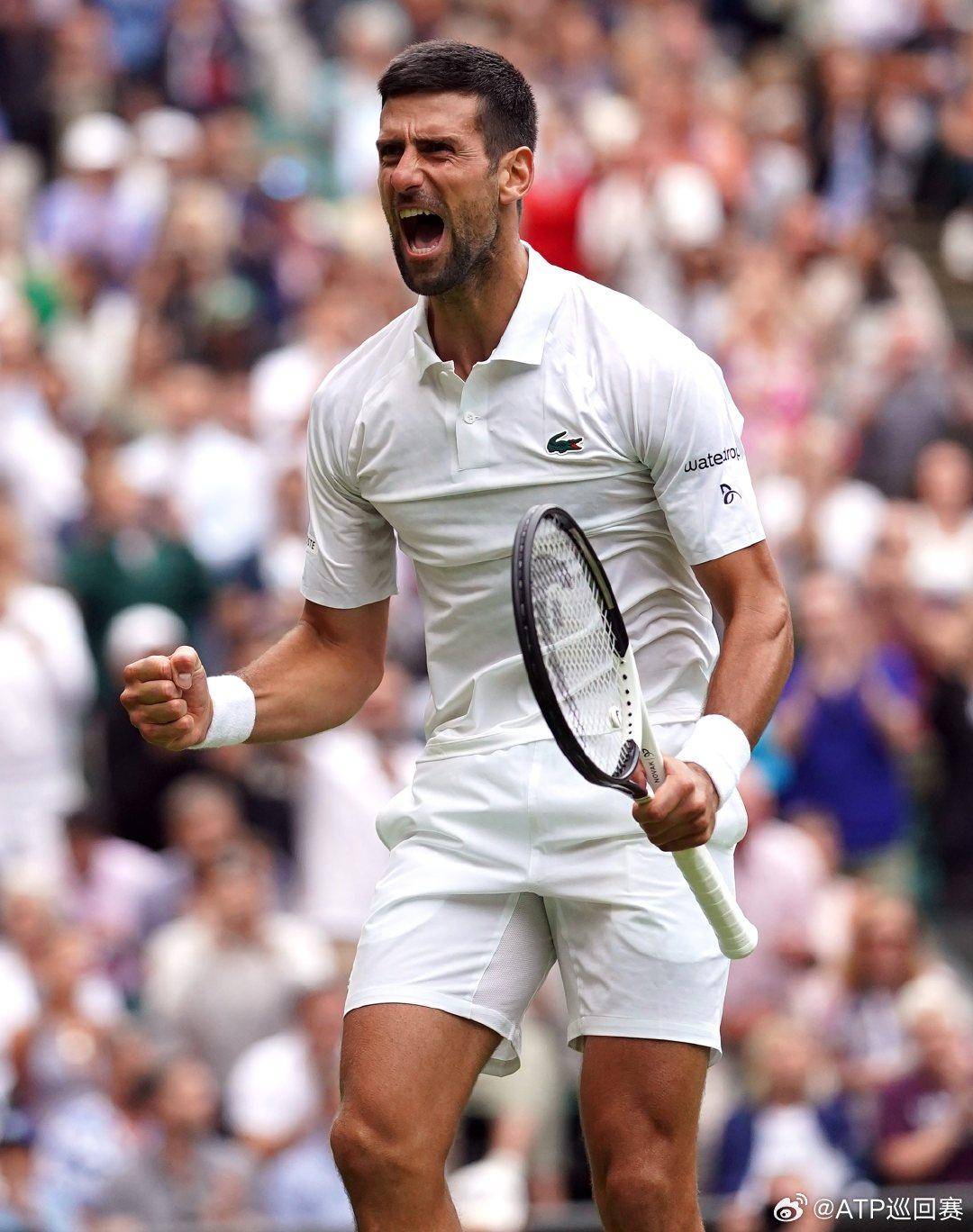 的崭露头角 的崭露头角