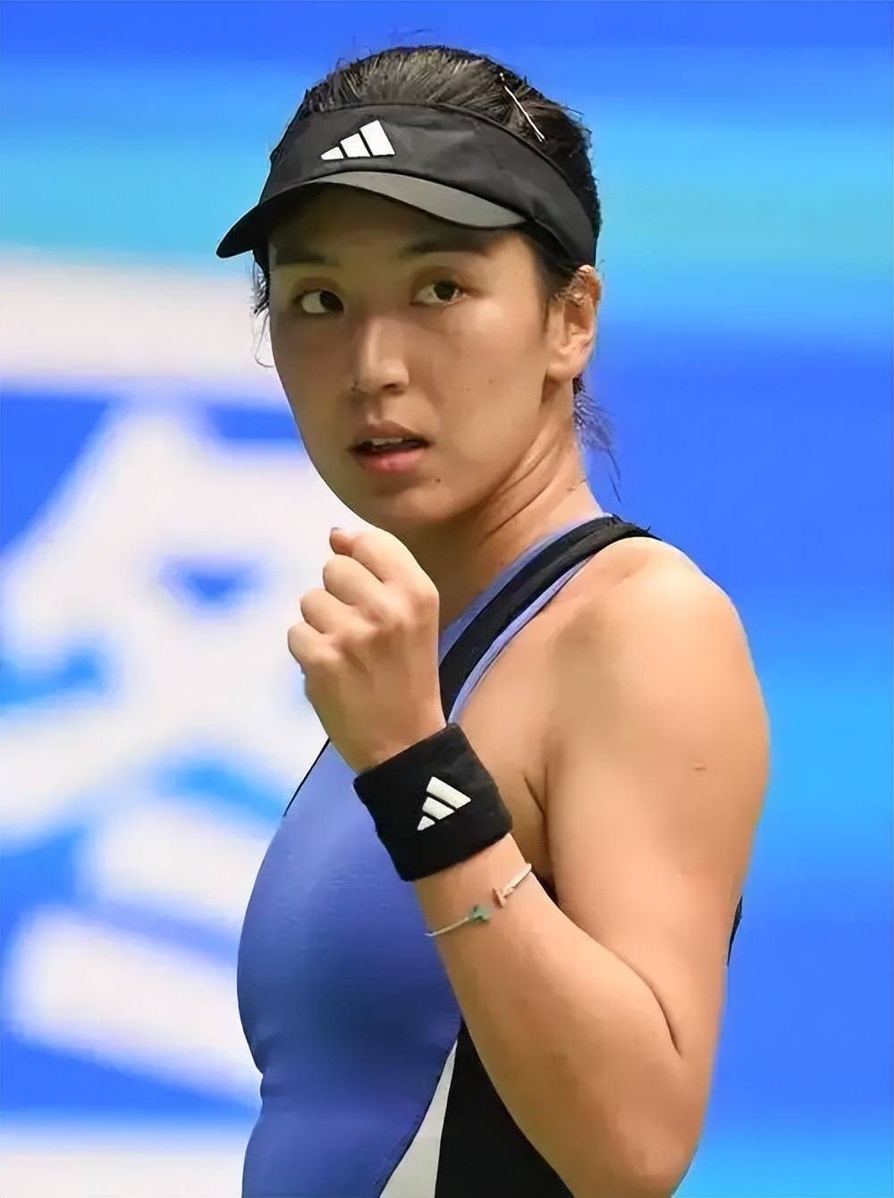 成熟度的缩 成熟度的缩